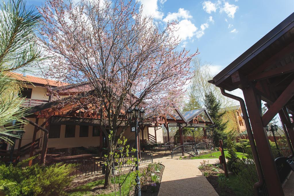 Little Texas Iasi Hotel Exterior photo