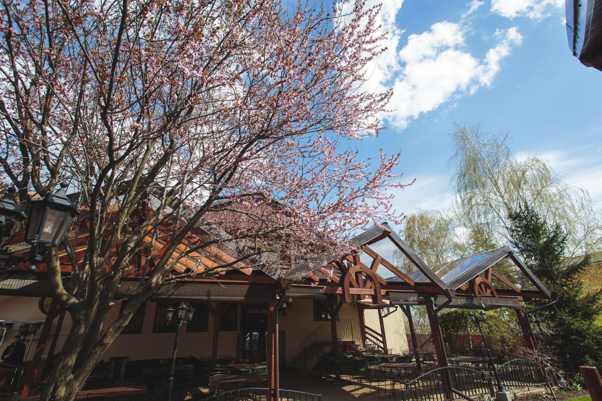 Little Texas Iasi Hotel Exterior photo