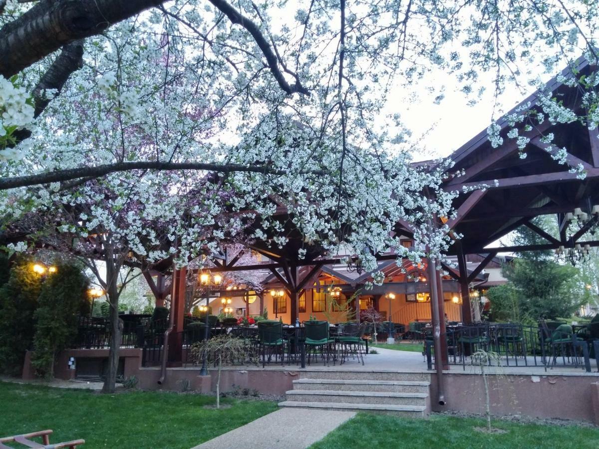 Little Texas Iasi Hotel Exterior photo